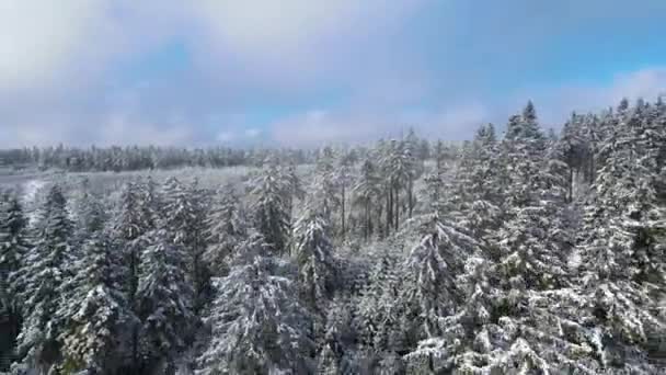 Taunus Lanț Muntos Văzut Dintr Dronă Unei Păduri Conifere Montane — Videoclip de stoc