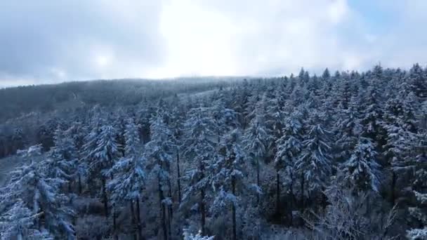 Taunus Pasmo Górskie Widziane Drona Górskiego Lasu Iglastego Hesji Niemcy — Wideo stockowe