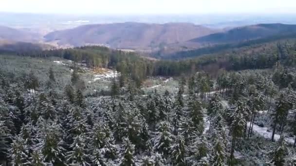 Taunus Horské Pásmo Výhledem Dronu Horského Jehličnatého Lesa Hesensku Německo — Stock video