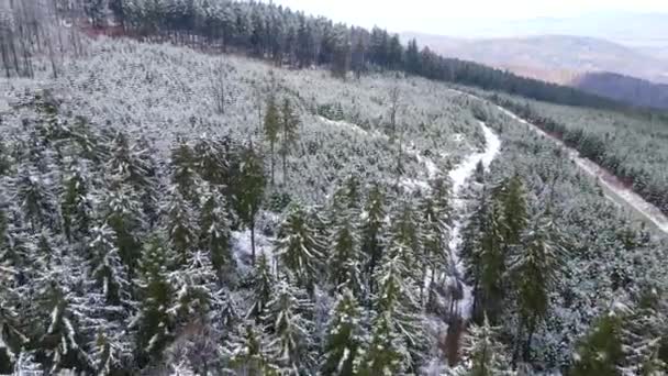 Taunus Horské Pásmo Výhledem Dronu Horského Jehličnatého Lesa Hesensku Německo — Stock video