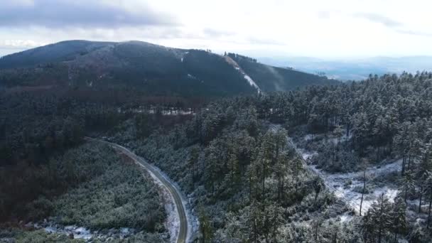 陶纳斯 从德国黑森山针叶林的无人驾驶飞机上俯瞰的山脉 — 图库视频影像