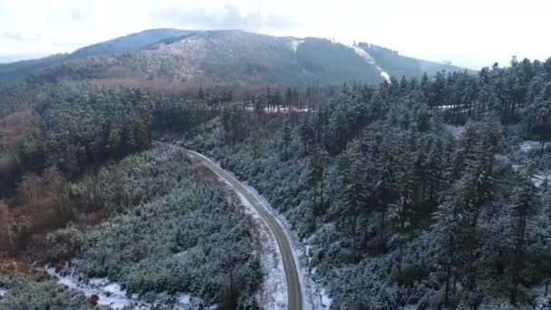 Taunus Uma Cordilheira Vista Drone Uma Floresta Coníferas Montanhosas Hesse — Vídeo de Stock
