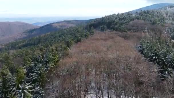 Taunus Pasmo Górskie Widziane Drona Górskiego Lasu Iglastego Hesji Niemcy — Wideo stockowe