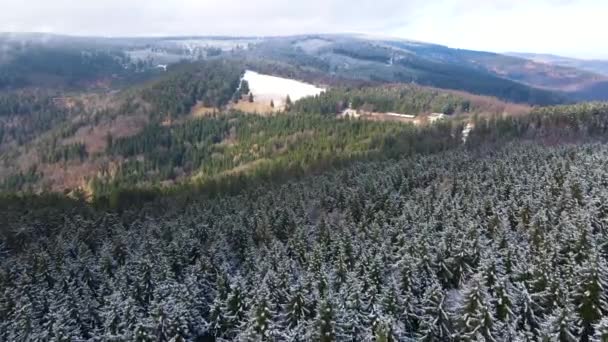 Taunus Una Catena Montuosa Vista Drone Una Foresta Conifere Montagna — Video Stock