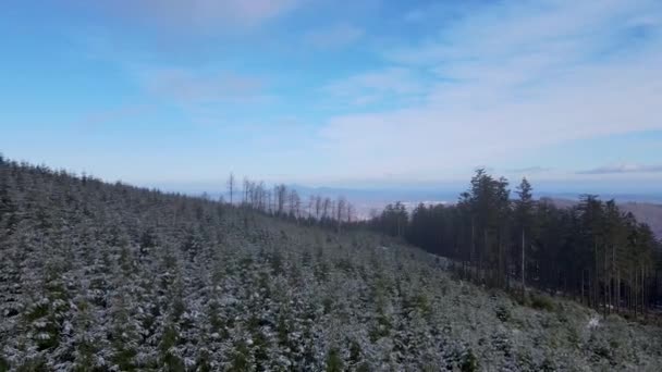 Taunus Μια Οροσειρά Που Φαίνεται Από Ένα Drone Ενός Δάσους — Αρχείο Βίντεο