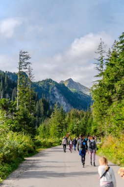 Dağlara tırmanan turistler orman tatili