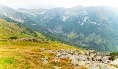 Dağ manzarası Polonya Zakopane