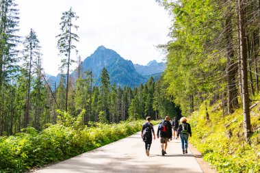 Dağlara tırmanan turistler orman tatili