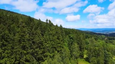 Yaz Saastal Saas-Fee İsviçre hava aracı dağ dronu karaçam ormanı kozalaklı üst bulutlar İsviçre Alpleri dağ zirveleri vadi drone hareketi