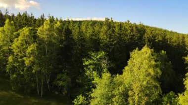 Yaz Saastal Saas-Fee İsviçre hava aracı dağ dronu karaçam ormanı kozalaklı üst bulutlar İsviçre Alpleri dağ zirveleri vadi drone hareketi