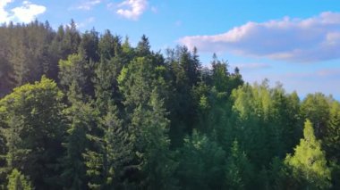 Yaz Saastal Saas-Fee İsviçre hava aracı dağ dronu karaçam ormanı kozalaklı üst bulutlar İsviçre Alpleri dağ zirveleri vadi drone hareketi