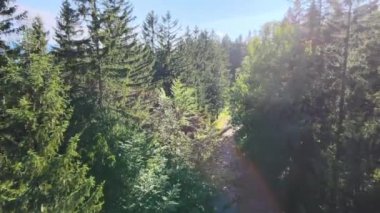 Yaz Saastal Saas-Fee İsviçre hava aracı dağ dronu karaçam ormanı kozalaklı üst bulutlar İsviçre Alpleri dağ zirveleri vadi drone hareketi