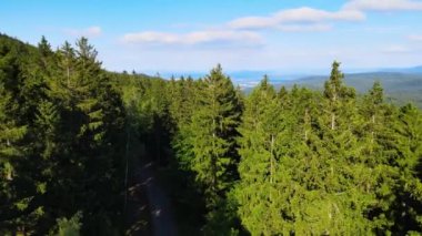 Yaz Saastal Saas-Fee İsviçre hava aracı dağ dronu karaçam ormanı kozalaklı üst bulutlar İsviçre Alpleri dağ zirveleri vadi drone hareketi