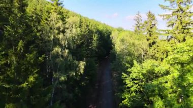 Yaz Saastal Saas-Fee İsviçre hava aracı dağ dronu karaçam ormanı kozalaklı üst bulutlar İsviçre Alpleri dağ zirveleri vadi drone hareketi