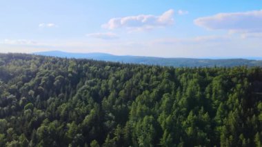 Yaz Saastal Saas-Fee İsviçre hava aracı dağ dronu karaçam ormanı kozalaklı üst bulutlar İsviçre Alpleri dağ zirveleri vadi drone hareketi