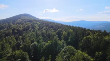 Yaz Saastal Saas-Fee İsviçre hava aracı dağ dronu karaçam ormanı kozalaklı üst bulutlar İsviçre Alpleri dağ zirveleri vadi drone hareketi