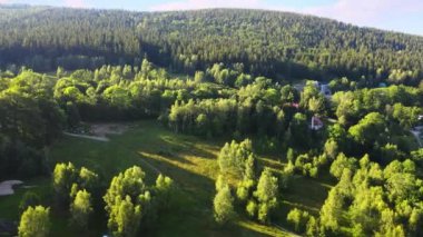 Yaz Saastal Saas-Fee İsviçre hava aracı dağ dronu karaçam ormanı kozalaklı üst bulutlar İsviçre Alpleri dağ zirveleri vadi drone hareketi