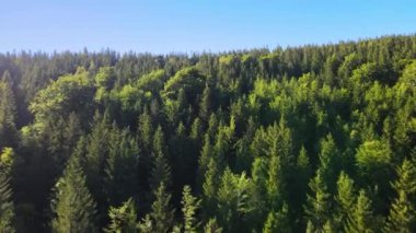 Yaz Saastal Saas-Fee İsviçre hava aracı dağ dronu karaçam ormanı kozalaklı üst bulutlar İsviçre Alpleri dağ zirveleri vadi drone hareketi