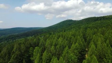 Yaz Saastal Saas-Fee İsviçre hava aracı dağ dronu karaçam ormanı kozalaklı üst bulutlar İsviçre Alpleri dağ zirveleri vadi drone hareketi