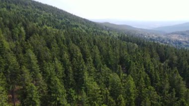 Yaz Saastal Saas-Fee İsviçre hava aracı dağ dronu karaçam ormanı kozalaklı üst bulutlar İsviçre Alpleri dağ zirveleri vadi drone hareketi