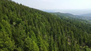 Yaz Saastal Saas-Fee İsviçre hava aracı dağ dronu karaçam ormanı kozalaklı üst bulutlar İsviçre Alpleri dağ zirveleri vadi drone hareketi