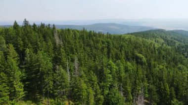 Yaz Saastal Saas-Fee İsviçre hava aracı dağ dronu karaçam ormanı kozalaklı üst bulutlar İsviçre Alpleri dağ zirveleri vadi drone hareketi