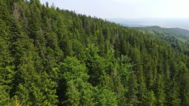 Yaz Saastal Saas-Fee İsviçre hava aracı dağ dronu karaçam ormanı kozalaklı üst bulutlar İsviçre Alpleri dağ zirveleri vadi drone hareketi