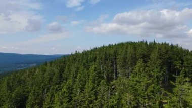 Yaz Saastal Saas-Fee İsviçre hava aracı dağ dronu karaçam ormanı kozalaklı üst bulutlar İsviçre Alpleri dağ zirveleri vadi drone hareketi