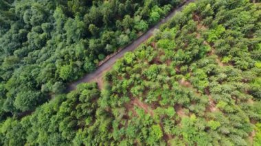 Yaz Saastal Saas-Fee İsviçre hava aracı dağ dronu karaçam ormanı kozalaklı üst bulutlar İsviçre Alpleri dağ zirveleri vadi drone hareketi