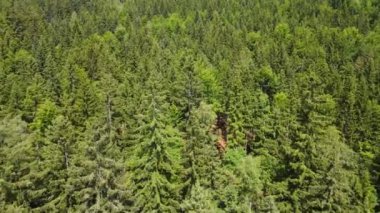 Yaz Saastal Saas-Fee İsviçre hava aracı dağ dronu karaçam ormanı kozalaklı üst bulutlar İsviçre Alpleri dağ zirveleri vadi drone hareketi