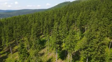 Yaz Saastal Saas-Fee İsviçre hava aracı dağ dronu karaçam ormanı kozalaklı üst bulutlar İsviçre Alpleri dağ zirveleri vadi drone hareketi