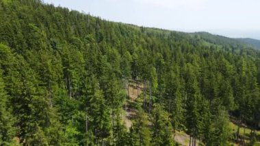 Yaz Saastal Saas-Fee İsviçre hava aracı dağ dronu karaçam ormanı kozalaklı üst bulutlar İsviçre Alpleri dağ zirveleri vadi drone hareketi