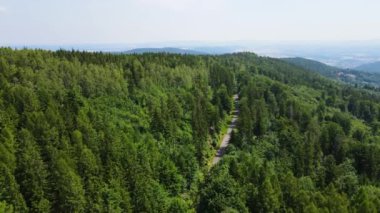 Yaz Saastal Saas-Fee İsviçre hava aracı dağ dronu karaçam ormanı kozalaklı üst bulutlar İsviçre Alpleri dağ zirveleri vadi drone hareketi