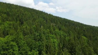 Yaz Saastal Saas-Fee İsviçre hava aracı dağ dronu karaçam ormanı kozalaklı üst bulutlar İsviçre Alpleri dağ zirveleri vadi drone hareketi