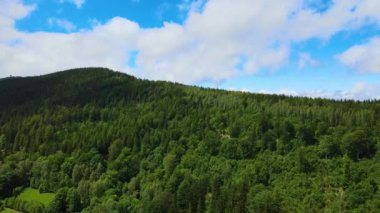 Yaz Saastal Saas-Fee İsviçre hava aracı dağ dronu karaçam ormanı kozalaklı üst bulutlar İsviçre Alpleri dağ zirveleri vadi drone hareketi