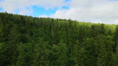 Yaz Saastal Saas-Fee İsviçre hava aracı dağ dronu karaçam ormanı kozalaklı üst bulutlar İsviçre Alpleri dağ zirveleri vadi drone hareketi