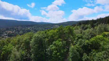 Yaz Saastal Saas-Fee İsviçre hava aracı dağ dronu karaçam ormanı kozalaklı üst bulutlar İsviçre Alpleri dağ zirveleri vadi drone hareketi