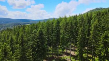 Yaz Saastal Saas-Fee İsviçre hava aracı dağ dronu karaçam ormanı kozalaklı üst bulutlar İsviçre Alpleri dağ zirveleri vadi drone hareketi