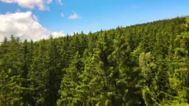 Yaz Saastal Saas-Fee İsviçre hava aracı dağ dronu karaçam ormanı kozalaklı üst bulutlar İsviçre Alpleri dağ zirveleri vadi drone hareketi
