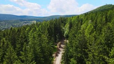 Yaz Saastal Saas-Fee İsviçre hava aracı dağ dronu karaçam ormanı kozalaklı üst bulutlar İsviçre Alpleri dağ zirveleri vadi drone hareketi
