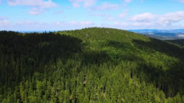 Yaz Saastal Saas-Fee İsviçre hava aracı dağ dronu karaçam ormanı kozalaklı üst bulutlar İsviçre Alpleri dağ zirveleri vadi drone hareketi