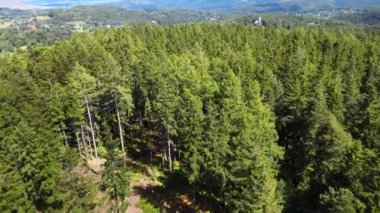 Yaz Saastal Saas-Fee İsviçre hava aracı dağ dronu karaçam ormanı kozalaklı üst bulutlar İsviçre Alpleri dağ zirveleri vadi drone hareketi