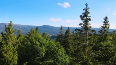 Yaz Saastal Saas-Fee İsviçre hava aracı dağ dronu karaçam ormanı kozalaklı üst bulutlar İsviçre Alpleri dağ zirveleri vadi drone hareketi