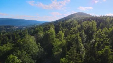 Yaz Saastal Saas-Fee İsviçre hava aracı dağ dronu karaçam ormanı kozalaklı üst bulutlar İsviçre Alpleri dağ zirveleri vadi drone hareketi