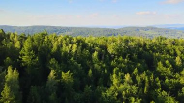 Yaz Saastal Saas-Fee İsviçre hava aracı dağ dronu karaçam ormanı kozalaklı üst bulutlar İsviçre Alpleri dağ zirveleri vadi drone hareketi