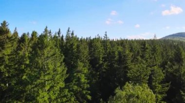 Yaz Saastal Saas-Fee İsviçre hava aracı dağ dronu karaçam ormanı kozalaklı üst bulutlar İsviçre Alpleri dağ zirveleri vadi drone hareketi