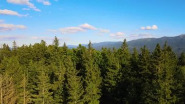 Yaz Saastal Saas-Fee İsviçre hava aracı dağ dronu karaçam ormanı kozalaklı üst bulutlar İsviçre Alpleri dağ zirveleri vadi drone hareketi