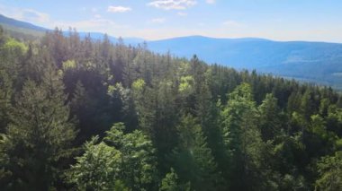 Yaz Saastal Saas-Fee İsviçre hava aracı dağ dronu karaçam ormanı kozalaklı üst bulutlar İsviçre Alpleri dağ zirveleri vadi drone hareketi