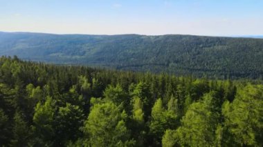 Yaz Saastal Saas-Fee İsviçre hava aracı dağ dronu karaçam ormanı kozalaklı üst bulutlar İsviçre Alpleri dağ zirveleri vadi drone hareketi