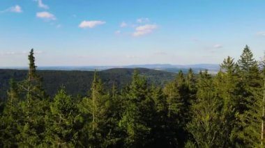 Yaz Saastal Saas-Fee İsviçre hava aracı dağ dronu karaçam ormanı kozalaklı üst bulutlar İsviçre Alpleri dağ zirveleri vadi drone hareketi